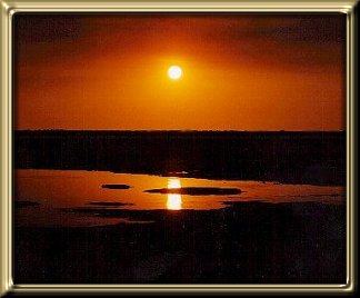 Photograph taken by S Bibby - Kakadu Australia